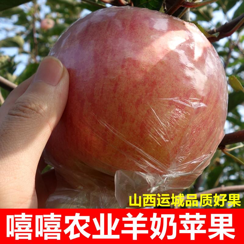 山西运城临猗冰糖心红富士苹果新鲜孕妇吃的水果当季整箱羊奶平果