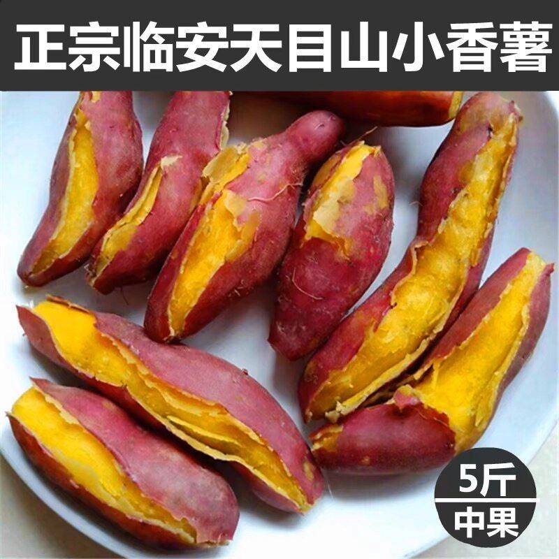 临安天目山小番薯5斤临安小香薯小香薯红薯板栗红薯小地瓜山芋