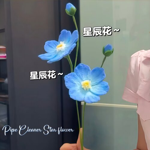 好漂亮的扭扭棒星辰花~