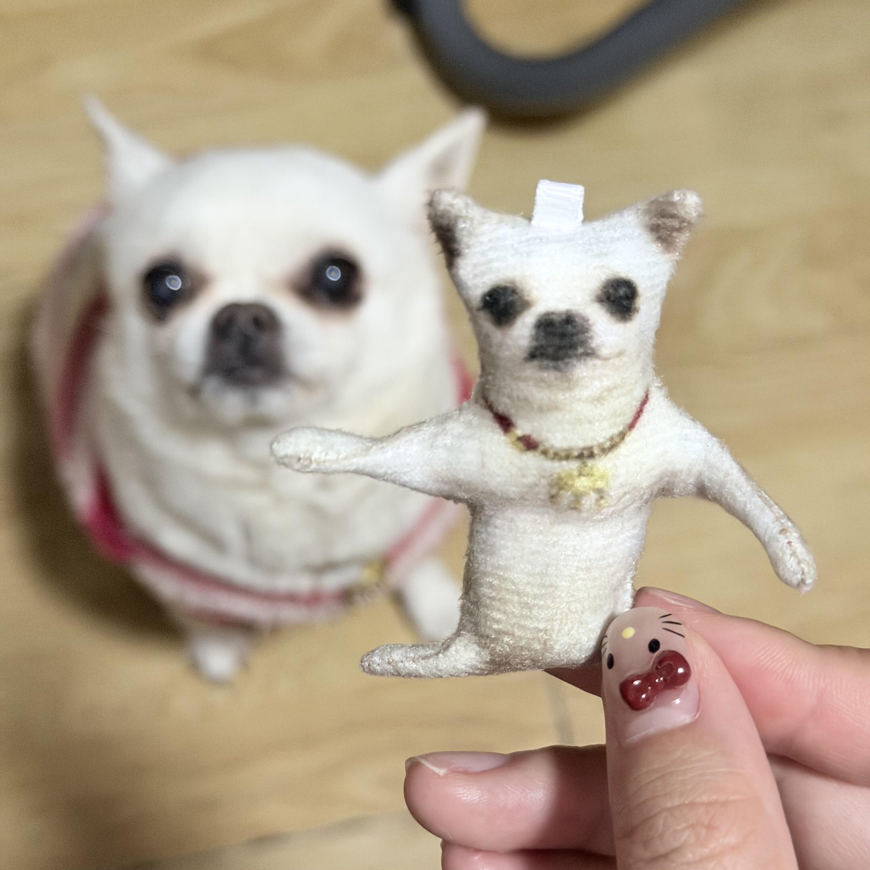 来图定制宠物老鼠干搞怪人偶图片