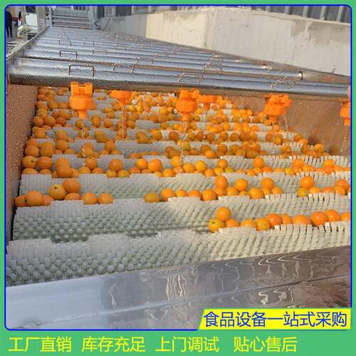 平行式香菇洗设备 商用鼎运辊芋头去皮清行洗机 平毛清清洗机器