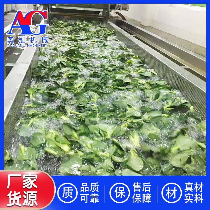 休闲豆干清洗浮干机 多能奥冠气泡清洗机 诸功城奥冠风涨袋破袋选