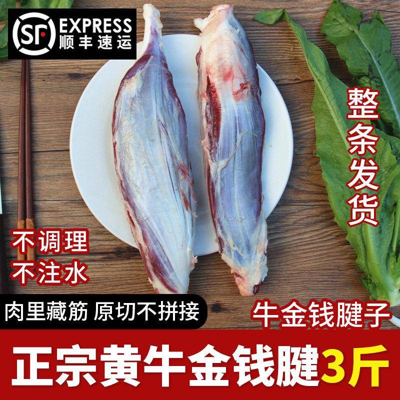 牛金钱腱子 前腿牛腱子肉梅花腱牛肉小腱子新鲜现杀黄牛腿整条3斤