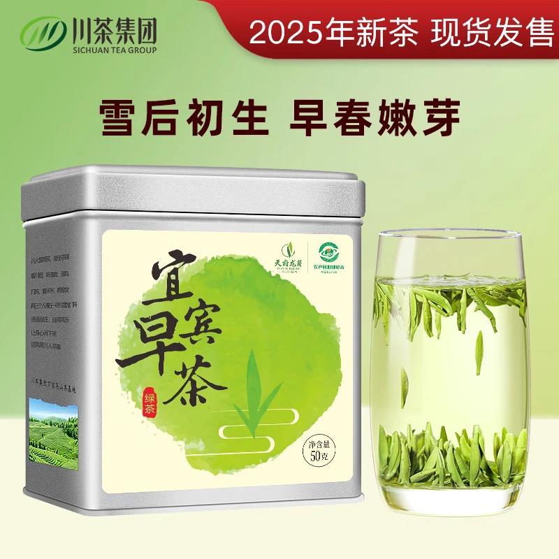 天府龙芽2025年宜宾早茶川茶集团叙府春茶高山云雾绿茶特级明前茶