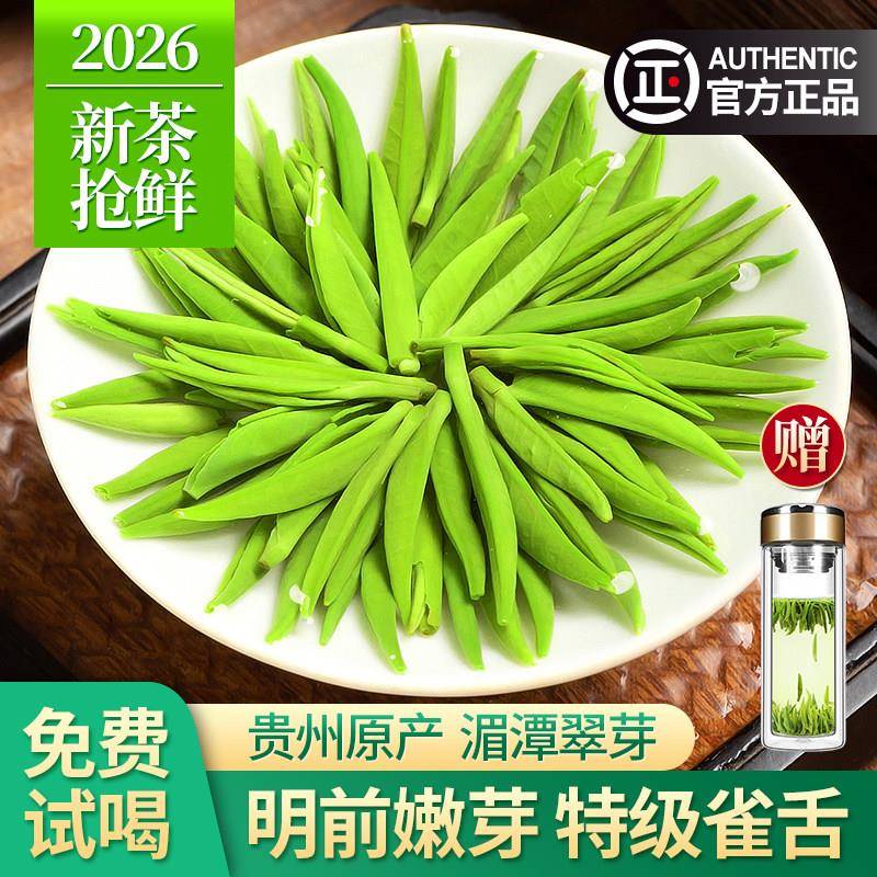 贵州雀舌2026年新茶特级明前绿茶湄潭翠芽散装全芽茶叶礼盒装500g