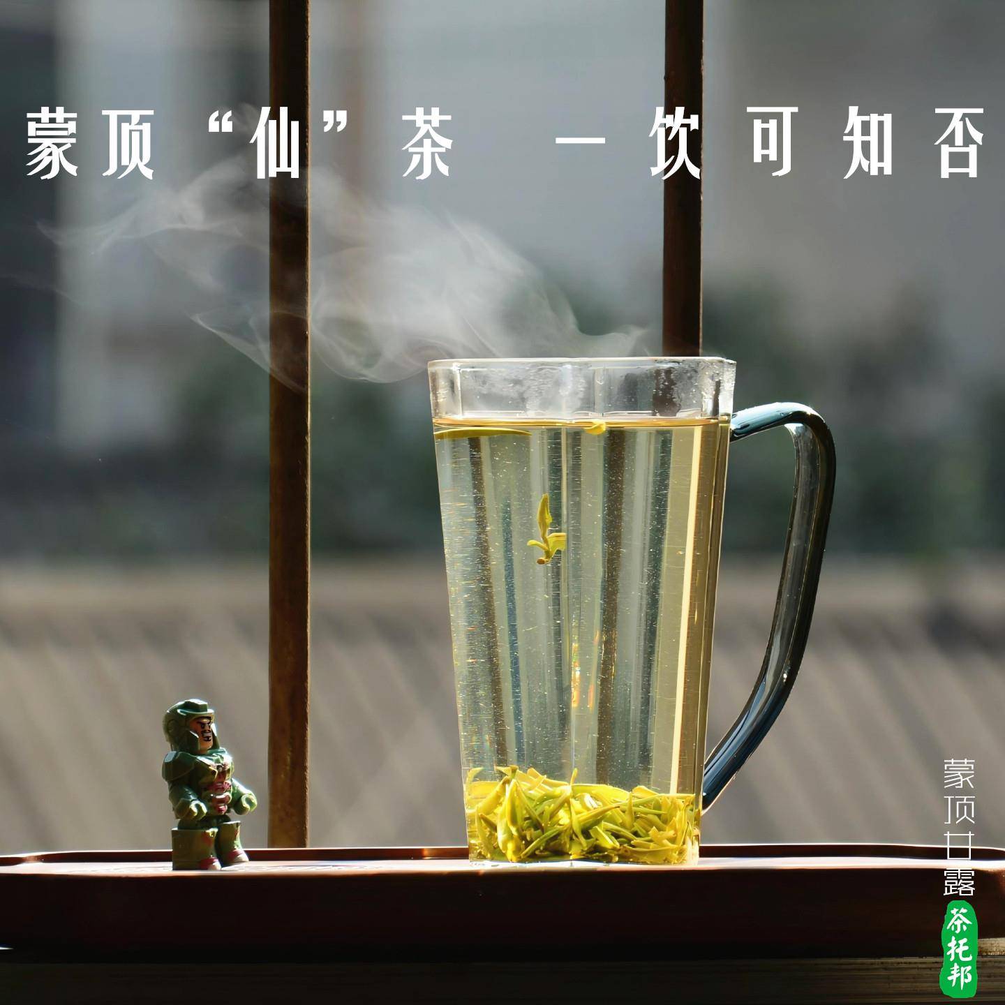 26蒙顶甘露 甘鲜活暖 柔润通透舌甘永 70年川茶 明前高山绿茶