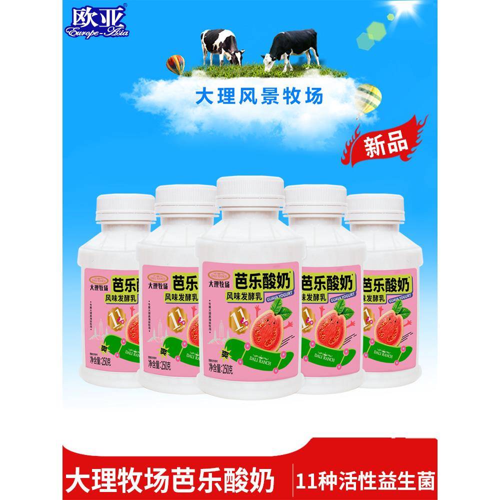 【日期新鲜】欧亚大理牧场芭乐酸奶250g*12瓶乳制品