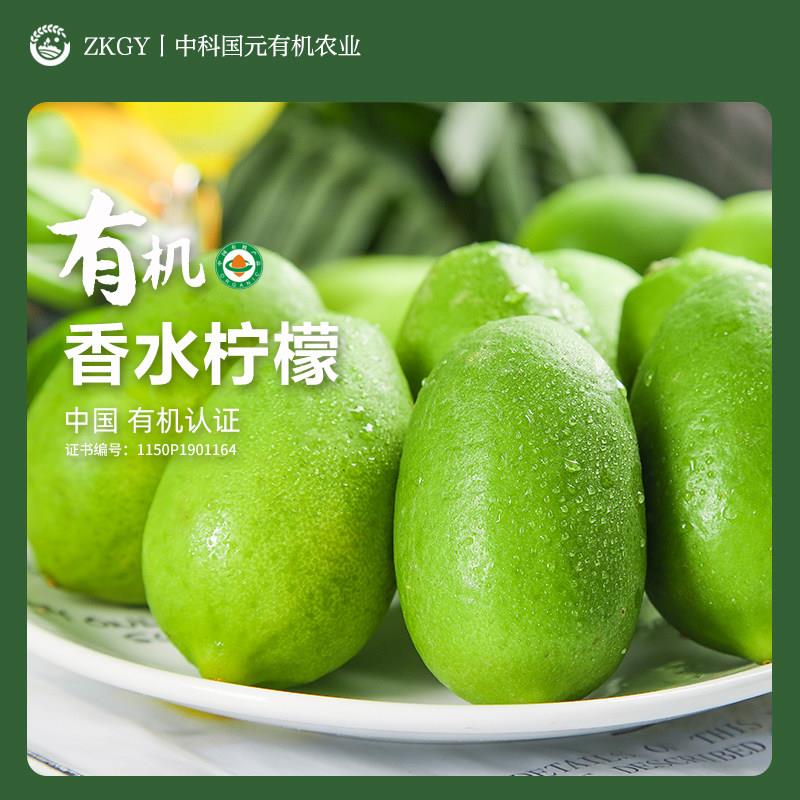 云南红河有机香水柠檬新鲜现摘无籽无农药树上自然熟皮薄维C丰富
