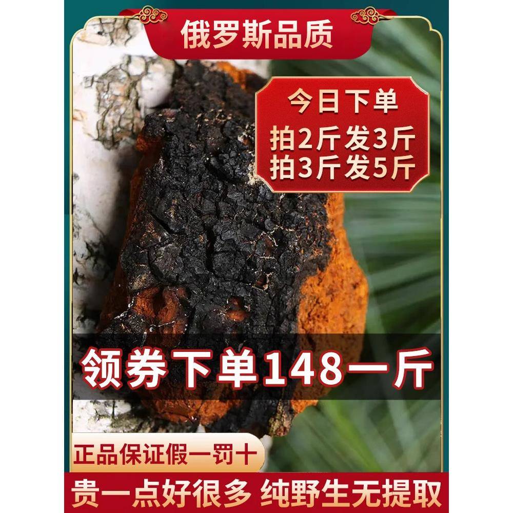 桦树茸野生正品一斤白桦茸非俄罗斯经营店黑金桦褐孔菌长白山进口