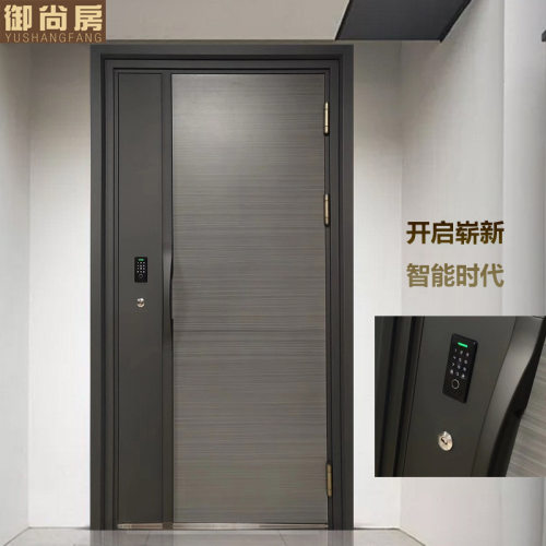 甲级防盗门隔音智能指纹入户门单门家用子母门安全门小区进户门