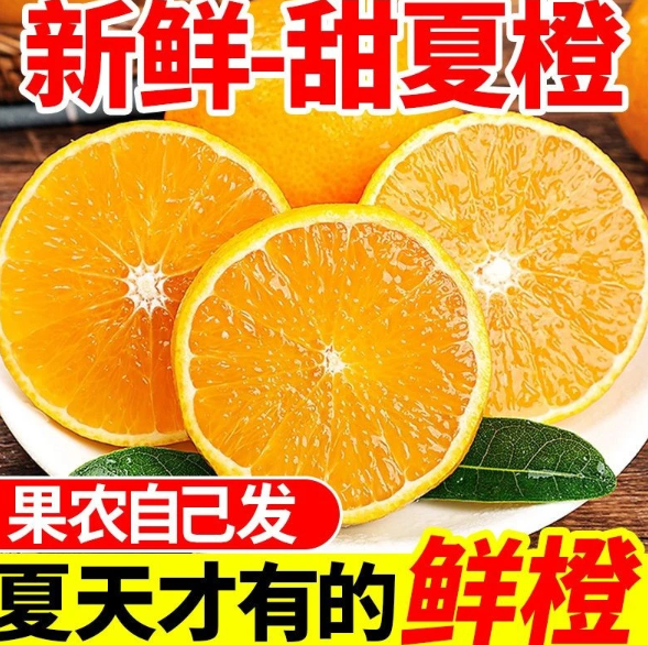 【下单立减50】广西夏橙产地直发正宗橙子高山种植新鲜现摘当季鲜