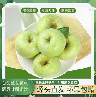 王林苹果雀斑苹果绿色食品新鲜苹果 下单立减50