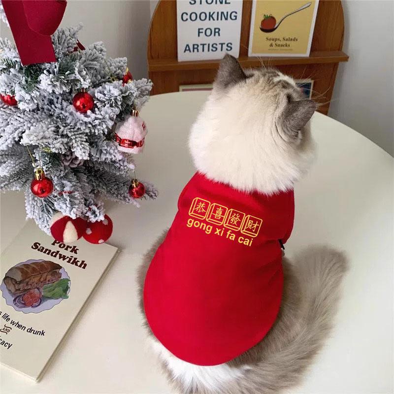 加绒猫咪衣服秋冬宠物圣诞两脚卫衣蓝猫英短布偶猫防掉毛小猫幼猫