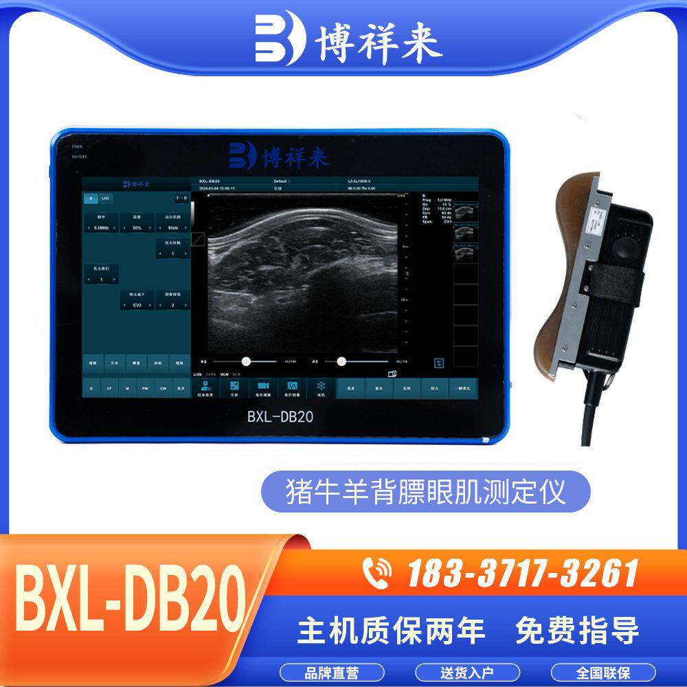 安格斯牛背膘眼肌测定仪清肌内脂肪检测B超机自动测量