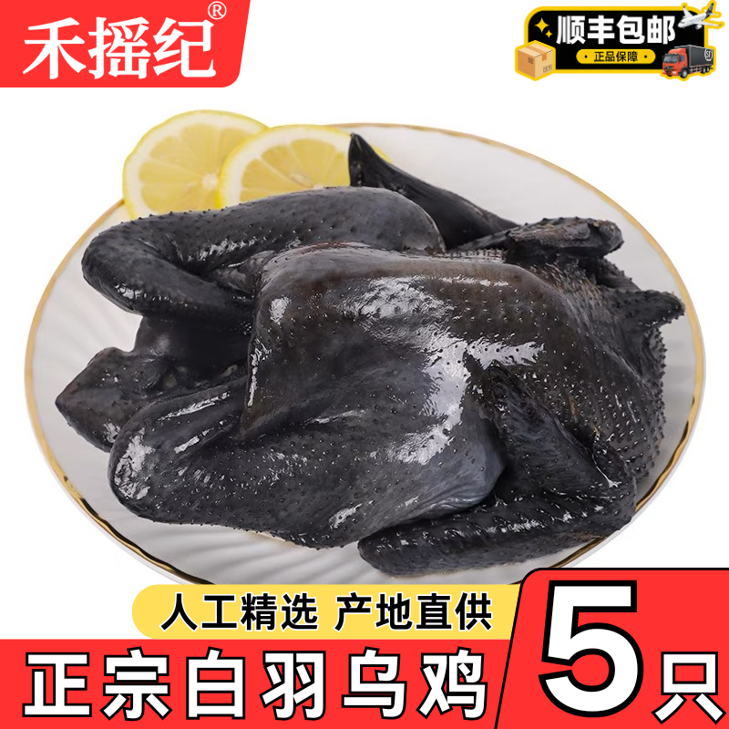 新鲜乌鸡整箱5只乌骨鸡现杀正宗农家土鸡走地鸡月子鸡商用批发