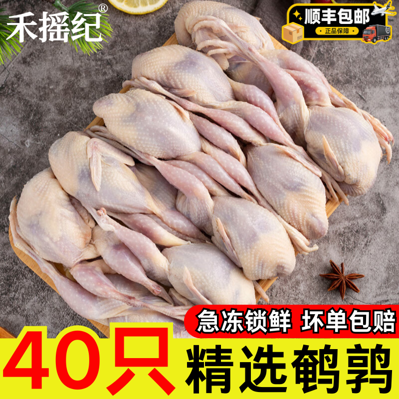 新鲜现杀母鹌鹑肉40只冷冻生鲜