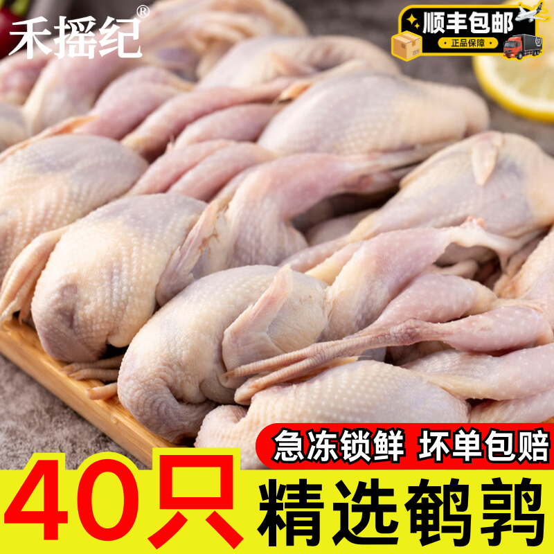 新鲜现杀母鹌鹑肉40只冷冻生鲜