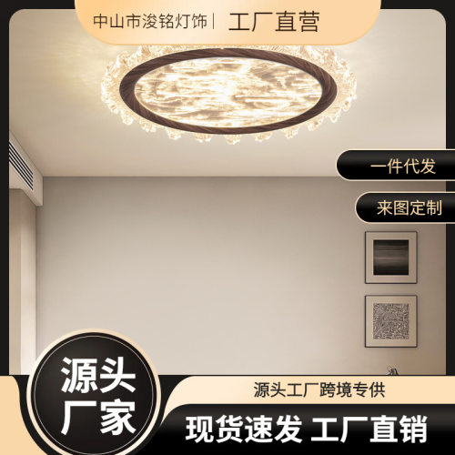 2025新款轻奢设计师感吸顶灯