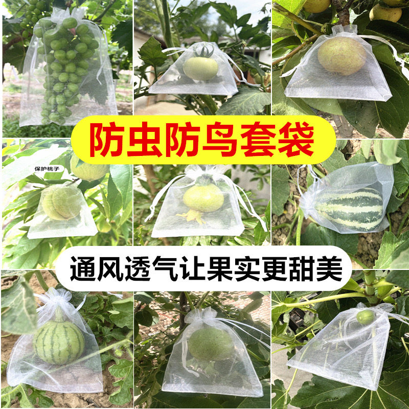 防虫防鸟纱布袋水果套袋保护袋抽绳束口袋重复使用通风透气网袋