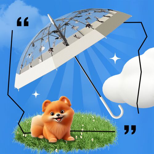 天玮伞业日系网红氛围感透明雨伞猫狗萌趣伞高颜值男女长柄伞