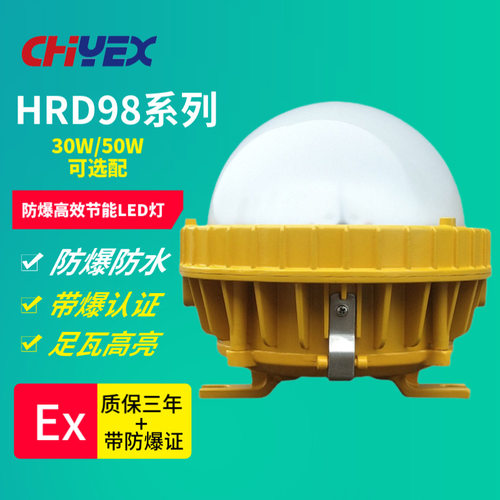 HRD98防爆高效节能LED灯吸顶式管吊式弯杆式护栏式法兰式防爆灯