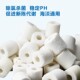 鱼缸水族箱陶瓷环过滤环硝化细菌屋玻璃环水族用品上部底过滤材料