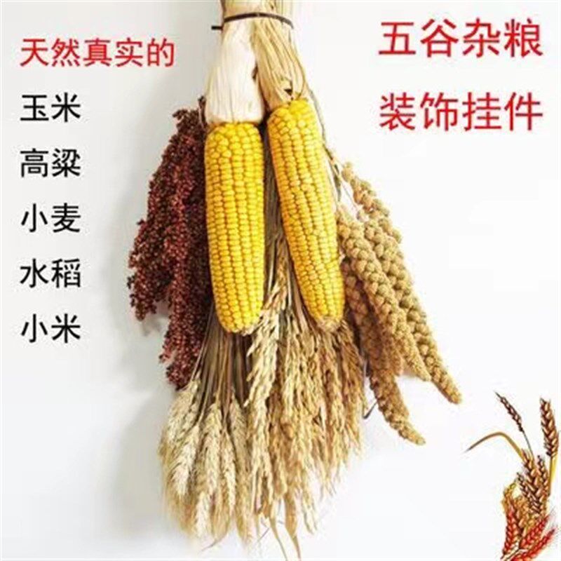 休闲农场装饰五谷杂粮玉米挂件麦穗乾燥花高粱田园农作物五谷丰登