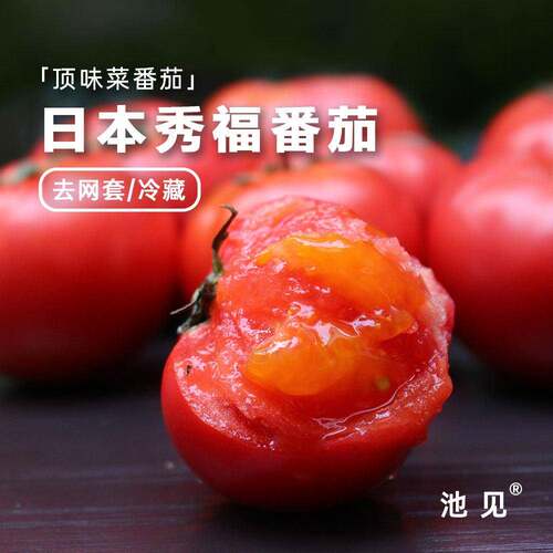 池见 自然成熟 日引秀福番茄土番茄番茄新鲜蔬菜沙瓤番茄可生吃