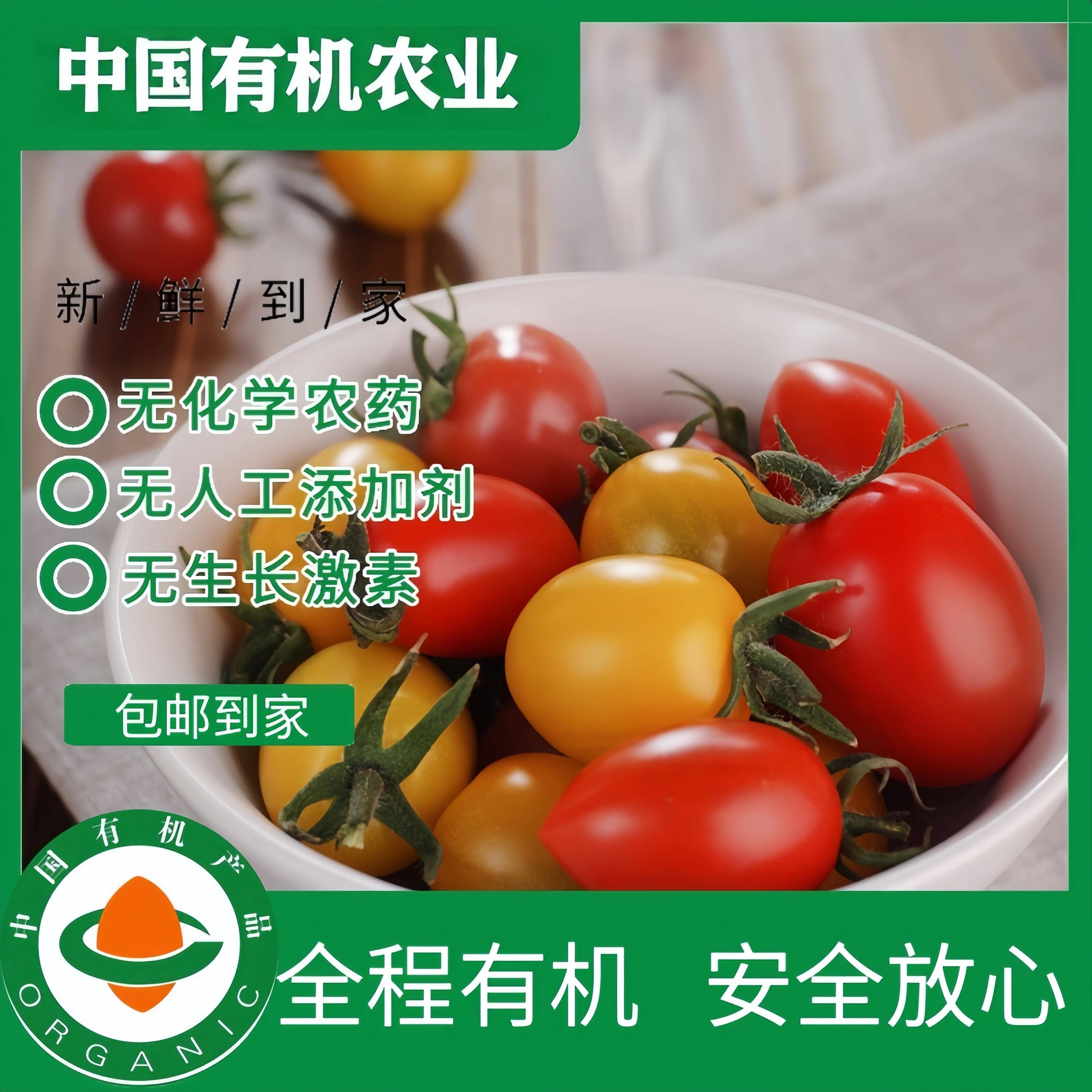 云南良道有机圣女果小番茄樱桃番茄现摘现发酸甜可口孕妇宝宝
