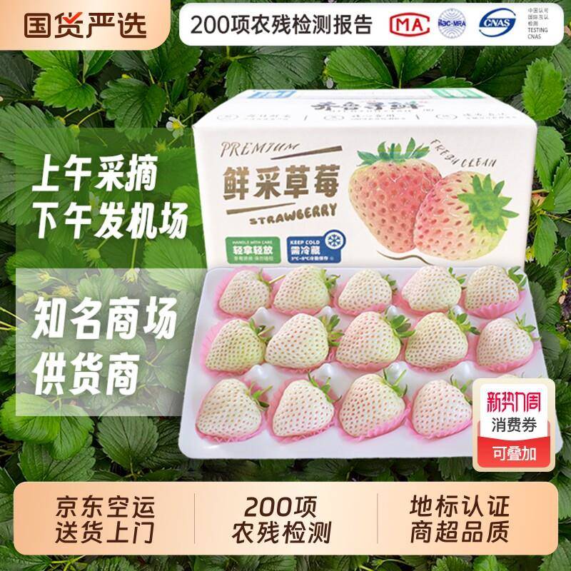 淡雪白草莓礼盒装白雪公主新鲜水果高端礼物白色生日礼物配送现摘