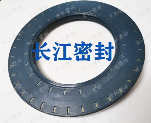 德国CFW BAUSLX2 骨架油封65-100-10