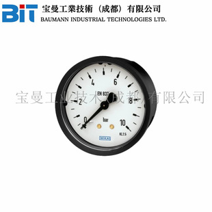 德国WIKA威卡111型面板安装111.16 111.26波登管压力表铜合金材质