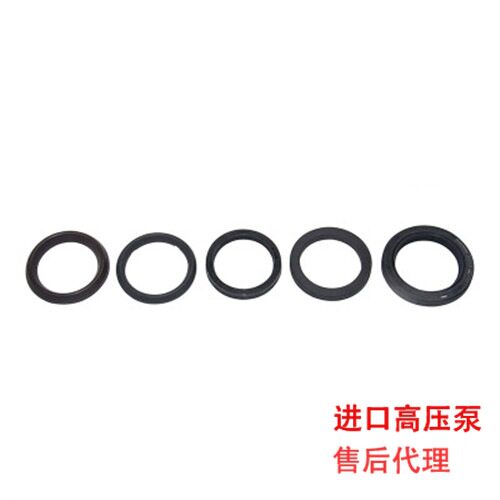 高压柱塞泵配件 大农DANAU DBH3650 水密封/油封修理包(18件))