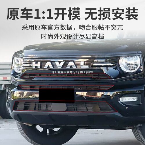 26款哈弗大狗PLUS中网防虫网水箱防护网防尘网卡扣改装饰配件窥喜