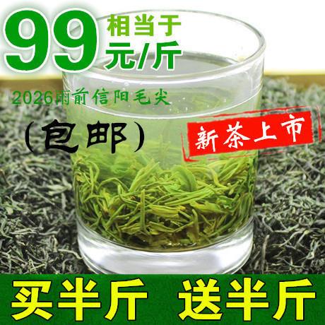 三月溪毛尖2026新茶叶信阳毛尖绿茶雨前浓香嫩芽叶散装春茶共500g