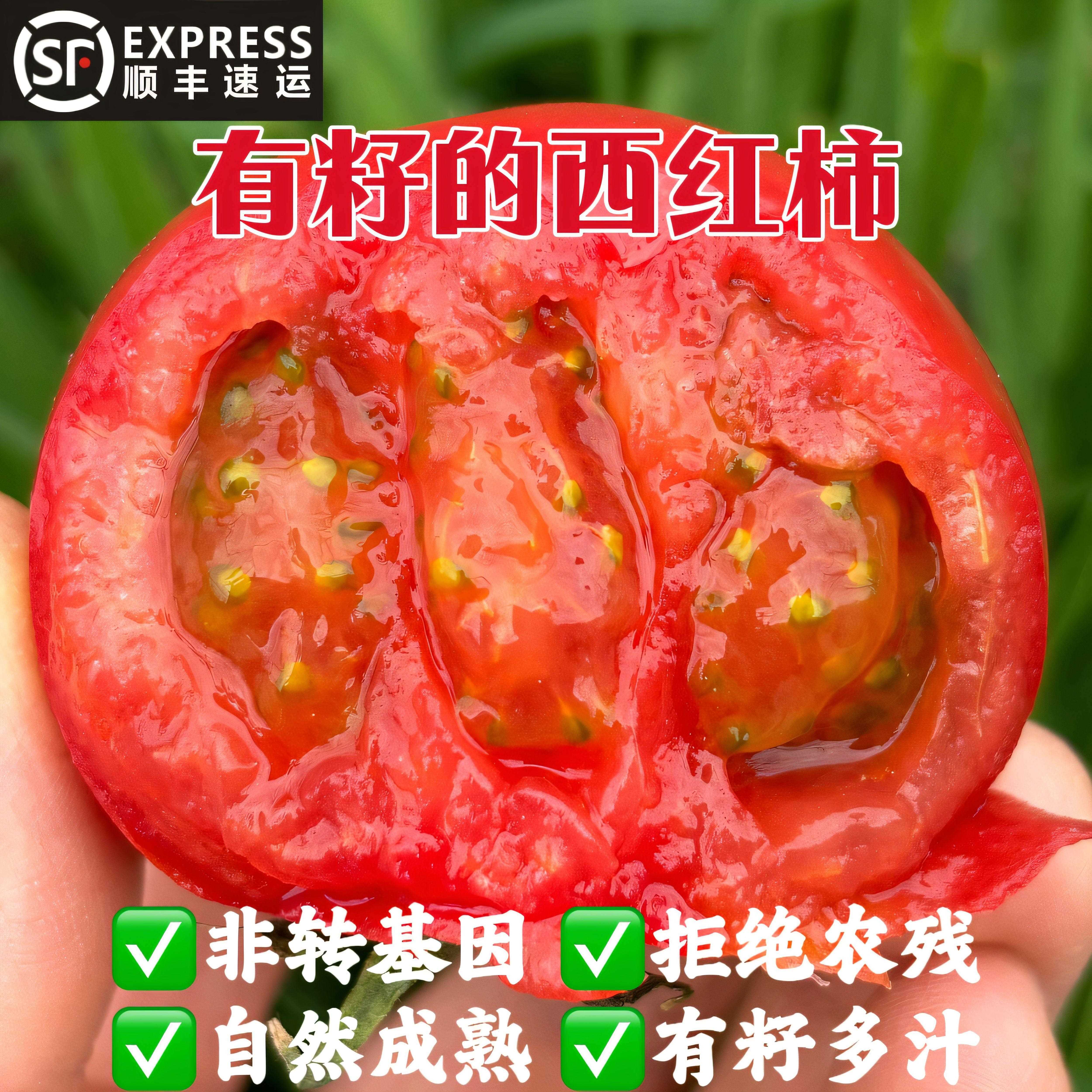 顺丰包邮农家自然熟番茄新鲜蔬菜当季黄金籽沙瓤孕妇水果番茄
