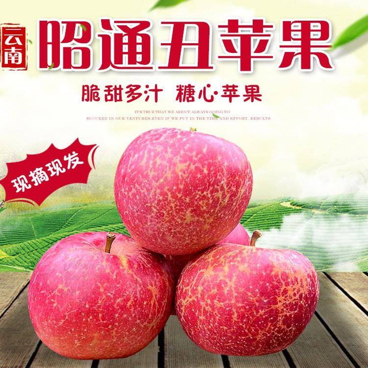 云南昭通苹果冰糖心新鲜当季红富士丑苹果脆甜多汁整箱包邮