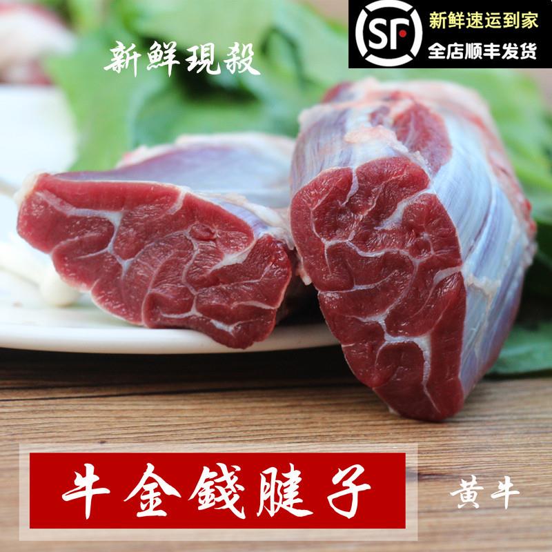 牛金钱腱子前腿牛腱子肉梅花腱牛肉小腱子新鲜现杀黄牛腿农家放养