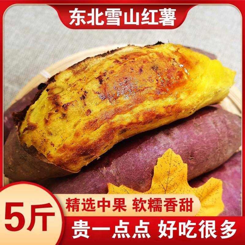 高标准东北雪山红薯5斤黄金蜜薯康平地瓜日本玛莎莉新鲜番薯山芋