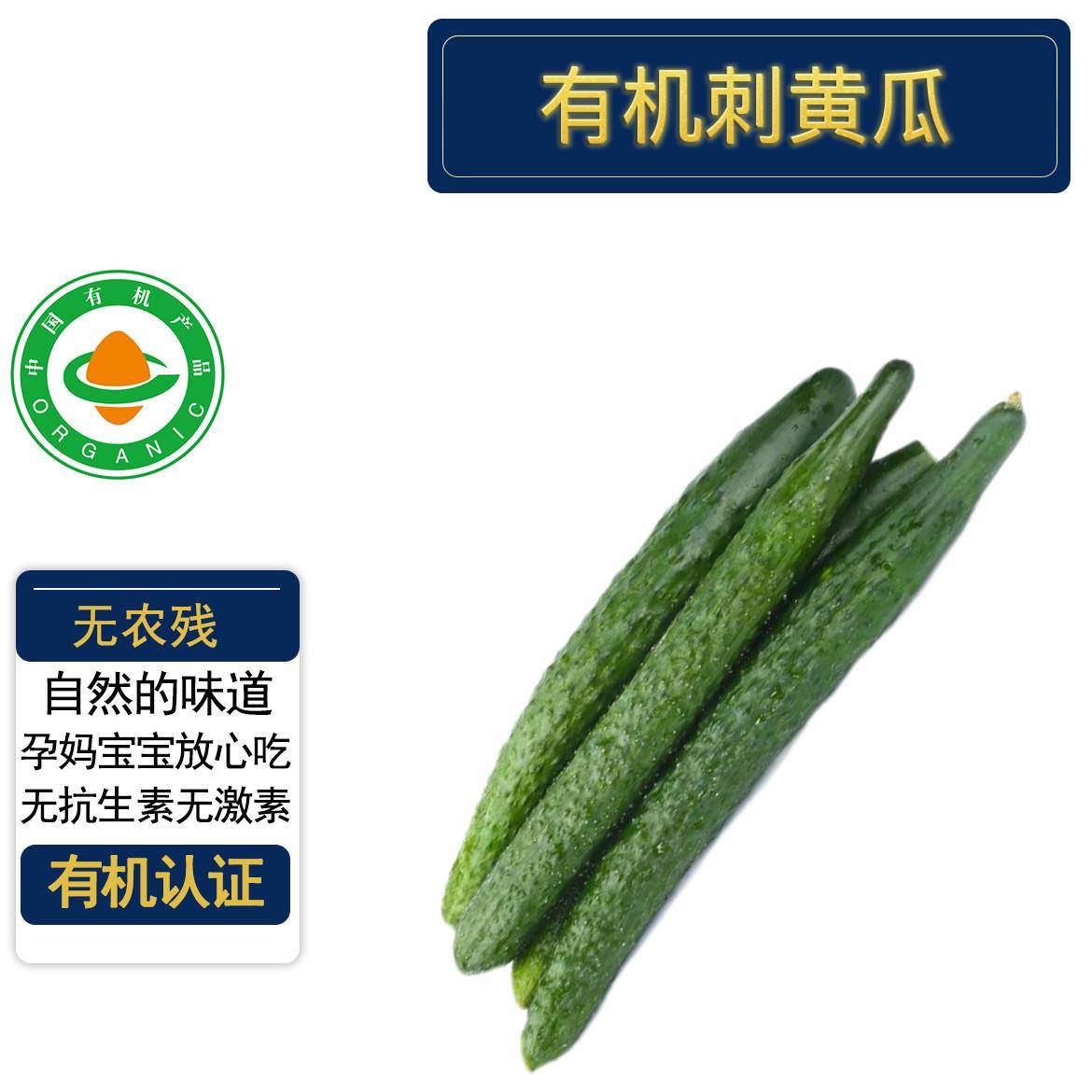 有机刺黄瓜5斤 有机认证无农残 现摘现发新鲜蔬菜天然黄瓜炒菜