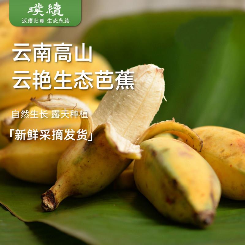 云艳生态野放芭蕉粉蕉云南高山新鲜水果无保鲜催熟剂5斤装包邮