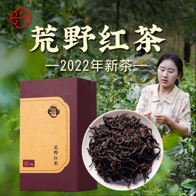 丹心可鉴乡愁沈丹202武夷山正山小种野生红茶荒野红茶礼盒