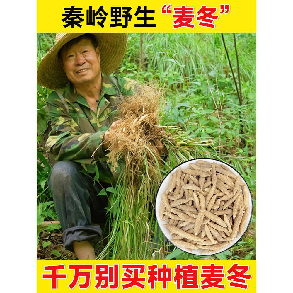 正宗野生麦冬500g非特级正品官方经营店黄芪人参四宝茶汤泡水