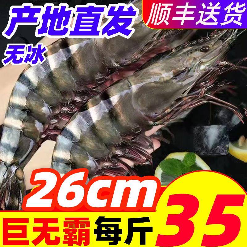 黑虎虾鲜活超大虾鲜活冷冻特大深海捕捞新鲜九节虾海鲜水产老虎虾