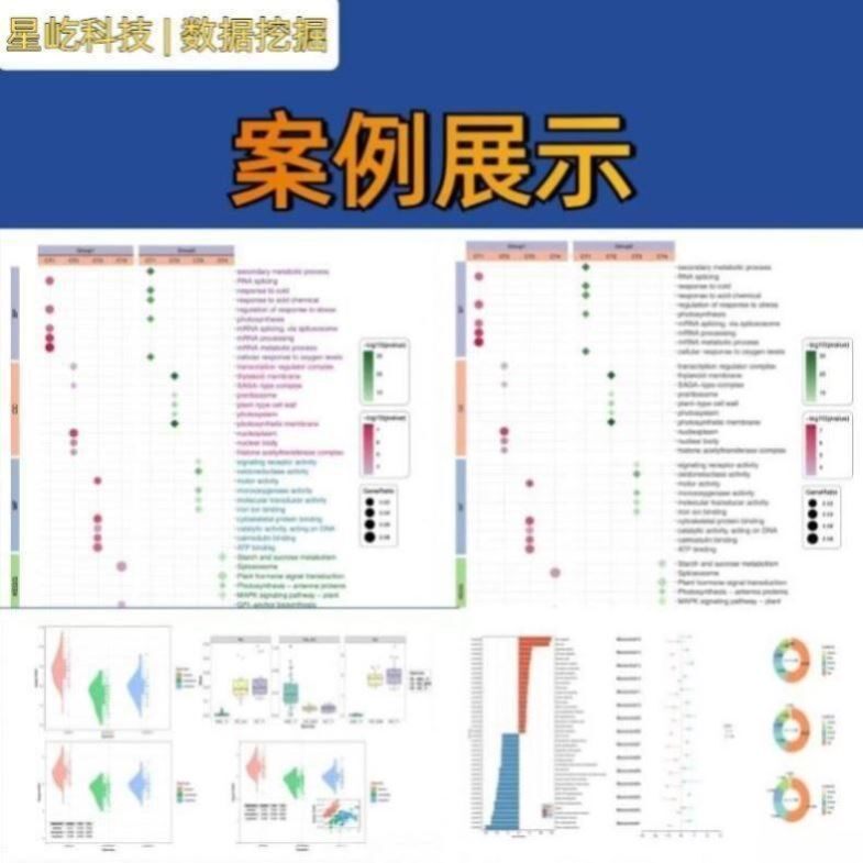 网络药理学中药复方代做分子对接医学科研生信分析SCI