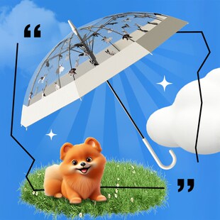 天玮伞业日系网红氛围感透明雨伞猫狗萌趣伞高颜值男女长柄伞