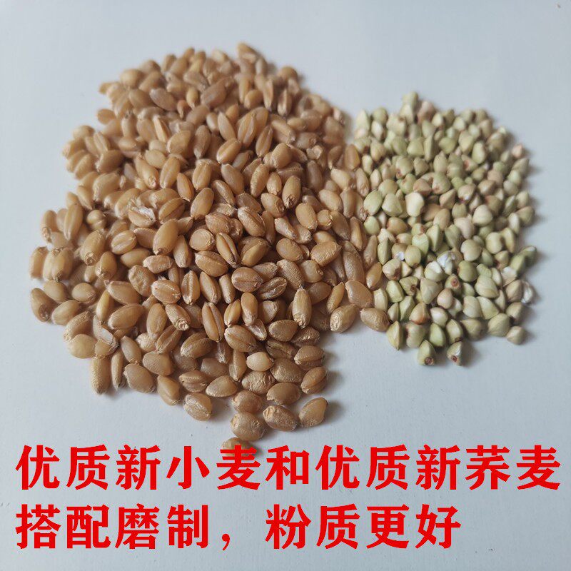 脐灸面碗全麦粉中细颗粒50斤小儿推拿全麦面粉带麸皮面碗制作面粉