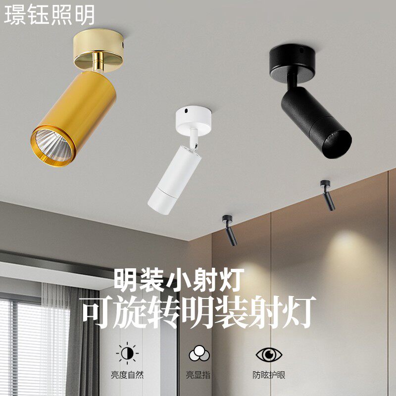 明装小射灯LED吸顶射灯天花板灯嵌入式迷你射灯小型家用筒灯无主