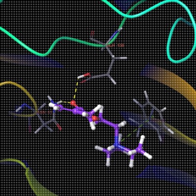 清北博士团队虚拟筛选/分子对接/蛋白互作/网络药理学/多肽对接