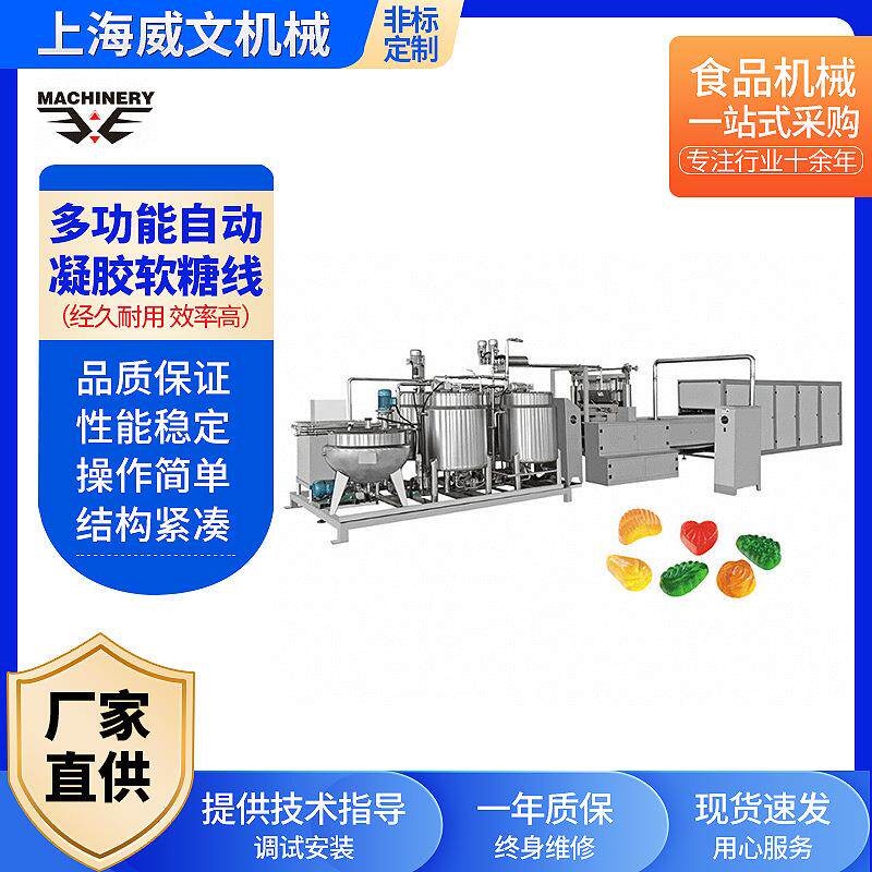 多功能自动凝胶软糖线 专业糖果机械制造厂家 新品水果糖果浇注线
